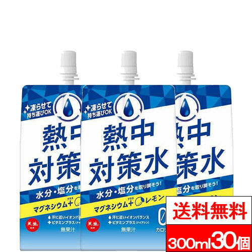 【送料無料】【1ケース】赤穂化成 熱中対策水パウチ レモン味 300g 30個 水分補給 塩分補給 クエン酸 熱中症対策 パウチ飲料