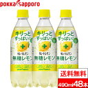 キレートレモン 無糖スパークリング 490ml 48本 キレート レモン 檸檬 炭酸飲料 ソーダ 無糖 ビタミン