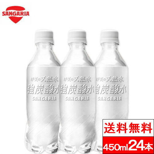 【訳アリ超特価】【賞味期限：2024年1月12日】【送料無料】【1ケース】 伊賀の天然水 強炭酸水 ラベルレス 炭酸水 450ml 24本 送料無料 サンガリア 無糖 炭酸水 ソーダ水 伊賀 ペットボトル 強炭酸 ソーダ 無糖炭酸水 セット まとめ買い 大量 ケース エコのサムネイル