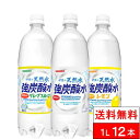  強炭酸 伊賀の天然水 炭酸水 選べる 炭酸水 1000ml 12本 送料無料 サンガリア 伊賀の強炭酸水 ペットボトル 天然炭酸水 まとめ買い 炭酸ソーダ レモン炭酸水 ソーダ水 1リットル 大量 プレーン レモン グレープフルーツ 炭酸 タンサン