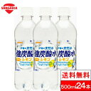  伊賀の天然水 強炭酸水 レモン 500ml 24本 サンガリア