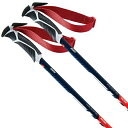 2022 SWIX スウィックス スキー ポール SLストック ワールドカップSL FA105-00 モデル