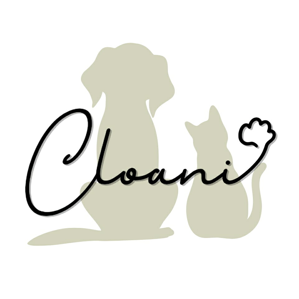 Shop icon