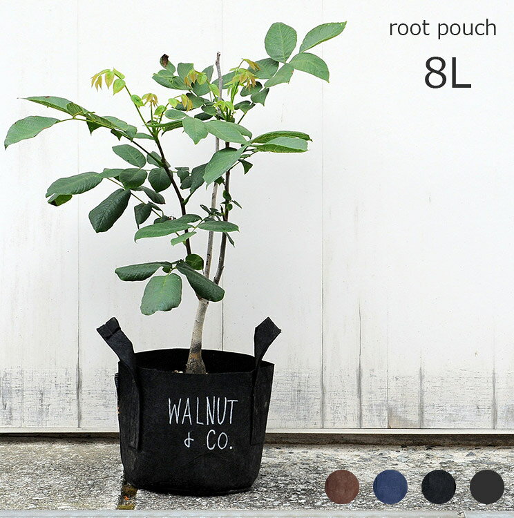 Rakuten - 植木鉢 ルーツポーチ 8L 直径21cm【不織布製 鉢カバー プランター ガーデニング グリーンインテリア 家庭菜園 観葉植物 塊根植物 多肉植物 リサイクル 天然素材 排水性 水はけ 軽量 持ち手付き root pouch ＃2 Sサイズ 高さ21cm 4号用】