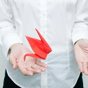 【メール便】peti peto プッチペット【形状記憶眼鏡拭き クリーナー メガネ メガネ拭き プッチペット 鶴 ペンギン あひる モダン かわいい 可愛い お...