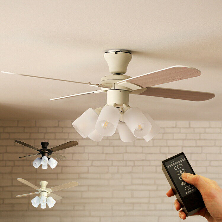 Modern Collection ������󥰥ե��� 6�� JE-CF015 JAVALO ELF ��⥳���� ������󥰥ե���饤�� ŷ����� ��С����֥뱩...