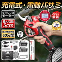 ポイント10倍!電動剪定ばさみ 充電式 剪定バサミ 電動ハサミ 高枝切りバサミ 剪定ば