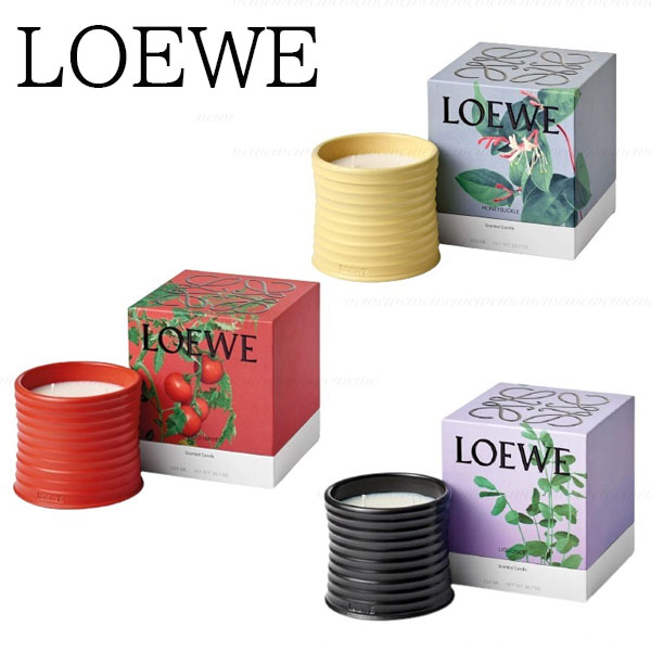 【写真付きレビュー】【新品 正規品 送料無料 ギフト包装無料】 LOEWE ロエベ ジュニパーベリー キャンドルスモール P000250X25