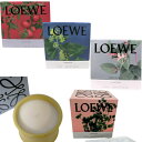 【新品■正規品■送料無料■ギフト包装無料】LOEWE ロエベ ジュニパーベリー キャンドルスモール P000250X25 レディース 女性 ギフト プレゼント ...