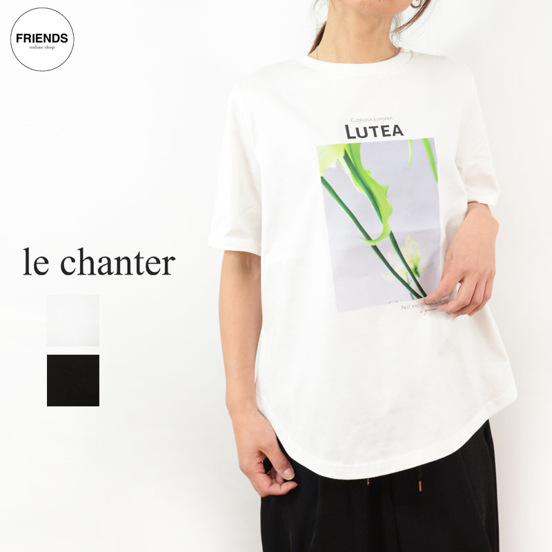 Rakuten - lechante(ルシャンテ) フォトプリントTシャツ 610103 Tシャツ Tee デザイントップス デザインカットソー 日本製 サイズ38 30/40/50/60代 大人の女性 レディース