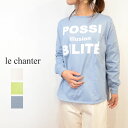 lechanter(ルシャンテ)大人カジュアルに着まわせる◎フロッキープリントロングTシャツ(カットソー　日本製　ホワイト　グリーン　サックス　ラウンド裾　オーバーサイズ　レディース)100103