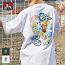 【11%OFF】【メール便送料無料】 BEN DAVIS ベンデイビス FRIDGE DOOR TEE フリッジドア Tシャツ / メンズ クルーネック 半袖Tシャツ バックプリント ゴリラ ワンポイントロゴ 綿 コットン100% ヘビーウェイト C-24580043 父の日 ギフト 男性用