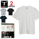 【期間限定！3％OFFクーポン対象商品】【ネコポス送料無料】 Hanes BEEFY T-SHIRT 2P ヘインズ ビーフィー Tシャツ パックTシャツ2枚組/ヘインズ Tシャツ ビーフィー Hanes コットン100％ 2P White Black 白 黒 綿100% 厚手 半袖 無地 H5180-2