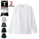 【3個以上で3％OFFクーポン】【メール便送料無料】 Hanes BEEFY-T ヘインズ ビーフィー ロングスリーブTシャツ パックT 2P (2枚組) / メンズ ロンT 長袖Tシャツ 無地 厚手 Hanes コットン 100％ 綿 ホワイト 白 H5186-2