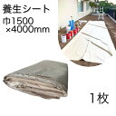 ◯即日発送| 肉厚 養生シート 1枚入 | 滑りにくい 布製 ベトナムシート 1枚 お試し商品 養生 階段 白 引っ越し 床 床養生シート 養生材 外壁塗装 塗装工事 塗装道具 塗装用品 床保護 ペンキ 下地 塗装 建築 建設 解体 現場 足場 屋外 屋内 厚手 丈夫 生地 国内生産