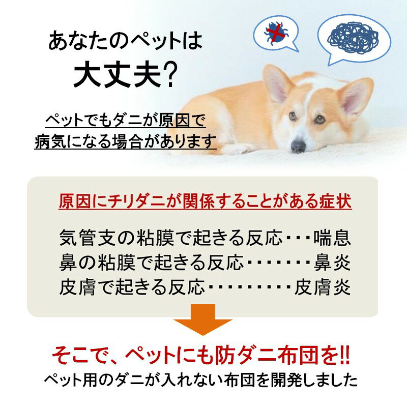 �ڥå��� �ɥ��� �٥å� ñ�� M (80��60��7)