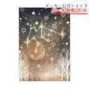 【新着・5月発売新商品】12星座ラインストーン付きポストカード 水瓶座/Aquarius・イラスト・はがき・Post Card・葉書【メーカー公式/クローズピン...