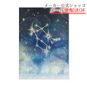 【新着・5月発売新商品】12星座ラインストーン付きポストカード 双子座/Gemini・イラスト・はがき・Post Card・葉書【メーカー公式/クローズピン】