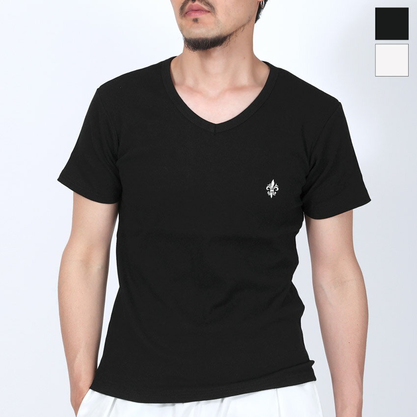 半袖Tシャツ トップス カットソー Vネック Tシャツ 半袖 メンズ テレコ素材 凸凹 ワンポイント 刺繍 スリム 細身 伸縮性 おしゃれ シンプル カジュアル 韓国 部屋着 モノクロ 黒 白 ブラック ホワイト 春服 夏服 20代 30代 40代 50代 M L ラグスタイル aa-3887