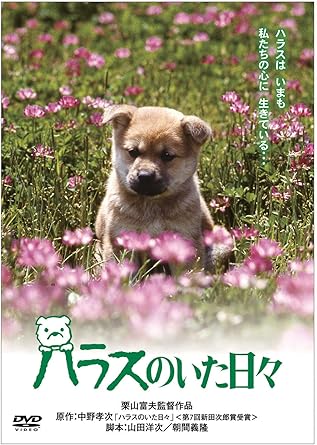 [新品]「きな子~見習い警察犬の物語~」DVD発売記念 犬だワンダフルキャンペーン ハラスのいた日々 (限定生産)