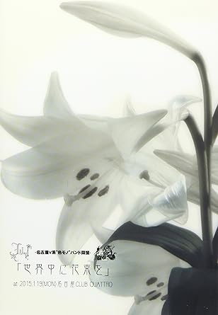 楽天クロソイド屋　楽天市場店【新品・未開封】-名古屋V系“色モノ”バンド同盟-PRESENTS　Lil．y　FINAL　STAGE　Lil．y＆麗麗ツーマンライブ「世界中に花束を」/DVD/DRDV-005廃盤 希少 正規品