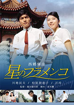 星のフラメンコ/DVD/BBBN-4143