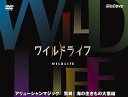 ワイルドライフ アリューシャンマジック 驚異!海の生きもの大集結/DVD/NSDS-18319