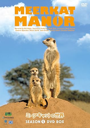 アニマルプラネットの大人気番組、待望のDVD化! ■ミーアキャットブーム到来!一度観たら必ずはまる! 人間に似た、ミーアキャットの家族愛ドラマ 身長30センチのキュートな外見とは裏腹に繰り広げられる、闘争、陰謀、裏切り、不倫、共食い…。人間さながらの彼らの生態を追ったドラマチックなドキュメンタリーは、連続ドラマシリーズを見るような感覚で見る者をとりこにする! ■緻密な取材と高度な撮影技術による制作 アニマルプラネットならではの見応えのある映像! ケンブリッジ大学の調査チームが協力。ミーアキャット自身の視点から、群れの暮らしを追うという画期的な方法で撮影。10年に渡る密着取材による映像は個体差はもちろん、それぞれの個性までもを描いた確かな映像。 ■オムニ・インターメディア賞、ニューヨーク・フェスティバル、ゴールド・ワールドメダル受賞! 人間が近づくの困難とされる、ミーアキャットの生態を収めた貴重な映像であるとともに、その映像技術のみならず、ドラマチックな展開が人気に。一つのミーアキャットの家族を長年追うことにより、家族の絆の強さ、個体それぞれの役割、群の個性などがドキュメンタリーを超えたドラマ性の高い内容でミーアキャットの魅力に迫る。 ☆ストーリー このシリーズの主役は、ミーアキャットの赤ちゃん。地下につくったトンネル状の巣に住んでいる。昆虫や、トカゲなどの小型爬虫類を食べて暮らしている。ミーアキャットは元気がよくて詮索好き、そして何よりもかわいい。このシリーズでは、アフリカ大陸南部のカラハリ砂漠に住むミーアキャットの家族、ウィスカー一家にスポットを当てる。ミーアキャットの生態が、手に取るように分かること間違いなしだ。 ☆スタッフ エグゼクティブ・プロデューサー:マーク・ワイルド 他 プロデューサー:クリス・バーカー 他 撮影:ロビン・スミス、ジョン・ブラウン 他 編集:キャロリン・ホーキンス 他 ☆仕様 本編計:約295分 ディスク4枚1:4話収録91分、2~4:3話収録68分 発売元:スタイルジャム 販売元:角川エンタテインメント (C)2006 Discovery Communications,Inc.,Silver Spring,MD. All Rights Reserved. *ジャケット、特典、仕様等は変更になる場合がございます。ご了承下さい。 時間4 時間 55 分 ディスク枚数4 新品です。 希少商品となりますので、定価よりお値段が高い場合がございます。 販売済みの場合は速やかに在庫の更新を行っておりますが、時間差等にて先に他店舗での販売の可能性もございます。在庫切れの際はご了承下さい。 当店、海外倉庫からのお取り寄せとなる場合もあります。その場合、発送に2～4週間前後かかる場合があります。 原則といたしまして、お客様のご都合によるキャンセルはお断りさせていただいております。 ただし、金額のケタの読み間違いなども加味し、12時間以内であればキャンセルを受け付けております。 ※万が一、メーカーもしくは店舗などに在庫が無い場合、誠に申し訳ありませんがキャンセルさせて頂きます。何卒、ご理解いただきますようよろしくお願いいたします。 お客様による金額の読み間違いが多発しております。金額をよくご確認の上、ご注文よろしくお願いいたします。 当店は在庫数1点のみのため交換はできません。初期不良はメーカーにご相談願います。
