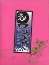 ワンナイR&R スペシャル DVD-BOX