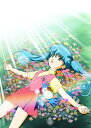 魔法のエンジェル スィートミント DVD-BOX