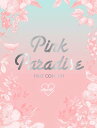 APINK 1st CONCERT「PINK PARADISE」DVD 新品 マルチレンズクリーナー付き