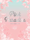 APINK 1st CONCERT「PINK PARADISE」DVD　新品　マルチレンズクリーナー付き