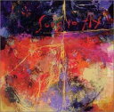 Song to fly 菅野よう子 新品