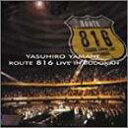 Route 816 LIVE IN BUDOUKAN [DVD]　山根康広　新品