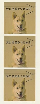 クロソイド屋 楽天市場店の[新品]犬に名前をつける日｜アングル3