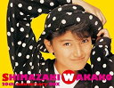 島崎和歌子20th anniversary BOX(DVD付) 新品 マルチレンズクリーナー付き