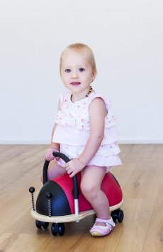 プリンスライオンハート　Wheely Bug　Ladybug(てんとう虫)　Prince Lionheart