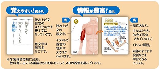 �ͤΤ�������뤿 �ظ� ����