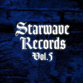 其它 - 【新品・未開封】Starwave　Records　Vol．5/DVD/SWVA-6廃盤 希少 正規品