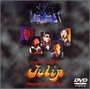 【新品・未開封】Live　Act　Tulip’97　Tulip　Magical　History　Tour/DVD/VIBL-22廃盤 希少 正規品
