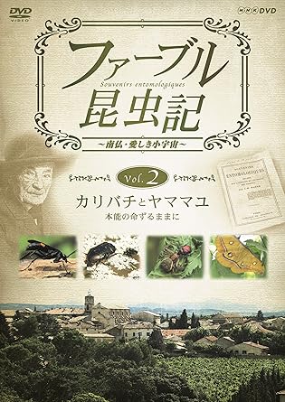 【新品・未開封】ファーブル昆虫記〜南仏・愛しき小宇宙〜　Vol．2　カリバチとヤママユ　本能の命ずるままに/DVD/TNA-22廃盤 希少 正規品