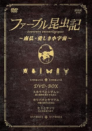 �ڿ��ʡ�̤�����ۥե����֥뺫� ��ʩ�������������� DVD-BOX���� ���� ������