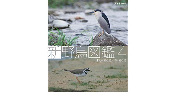 新 野鳥図鑑 第4集 水辺に棲む鳥/渚に棲む鳥 [DVD]　マルチレンズクリーナー付き 新品のサムネイル