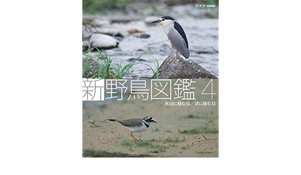 新 野鳥図鑑 第4集 水辺に棲む鳥/渚に棲む鳥 [DVD]　マルチレンズクリーナー付き 新品