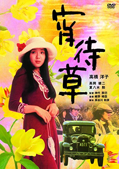 宵待草 [DVD]　高橋洋子　新品 マルチレンズクリーナー付き