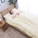寝具 清潔 快適 掛け布団 ダニ増殖抑制 日本製 無地 シンプル シングルロング 約150×210cm(3)