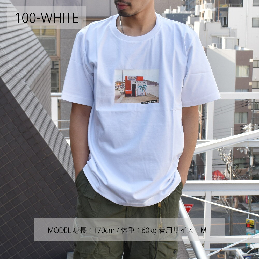 ディーゼル Tシャツ メンズ カットソー 半袖 クルーネック フォトT ブラック ホワ...