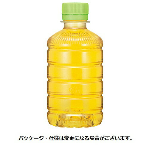 伊藤園　おーいお茶　緑茶　ラベルレス　280ml　ペットボトル　1ケース（24本）【法人限定】【送料無料】のサムネイル