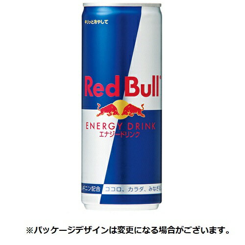 レッドブルのセット レッドブル　ジャパン　レッドブル・エナジードリンク　250ml　缶　1ケース（24本）【法人限定】【送料無料】