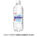 サンガリア　伊賀の天然水　強炭酸水　500ml　ペットボトル　1ケース（24本）【法人限定】【送料無料】